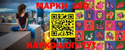 гашик Берёзовский