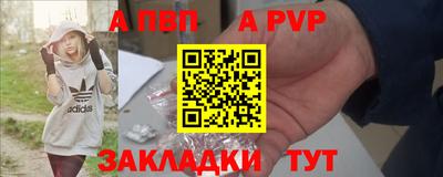 гашик Берёзовский