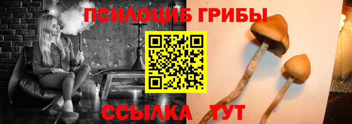 наркота  Учалы  Псилоцибиновые грибы мухоморы  Галлюциногенные грибы Psilocybine cubensis 